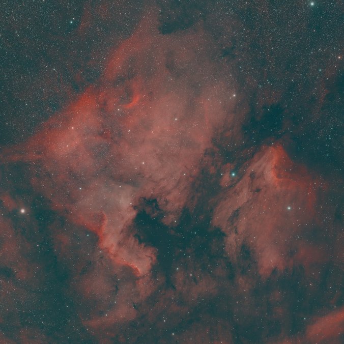 NGC 7000 – Nordamerika-Nebel und Pelikannebel im Sternbild Schwan