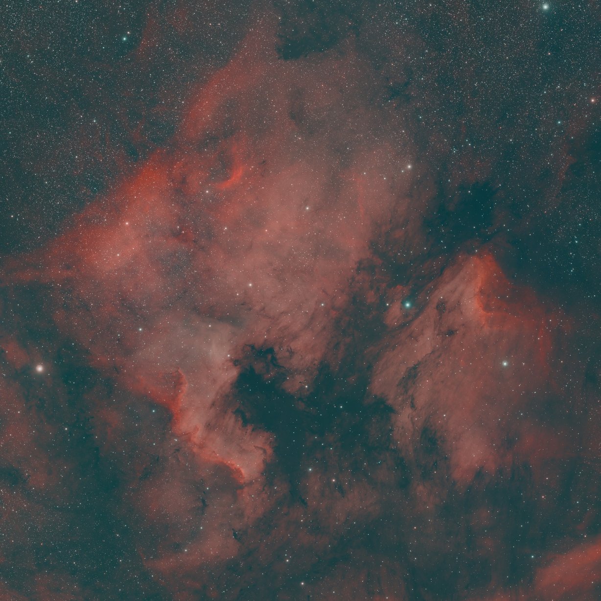 NGC 7000 – Nordamerika-Nebel und Pelikannebel im Sternbild Schwan