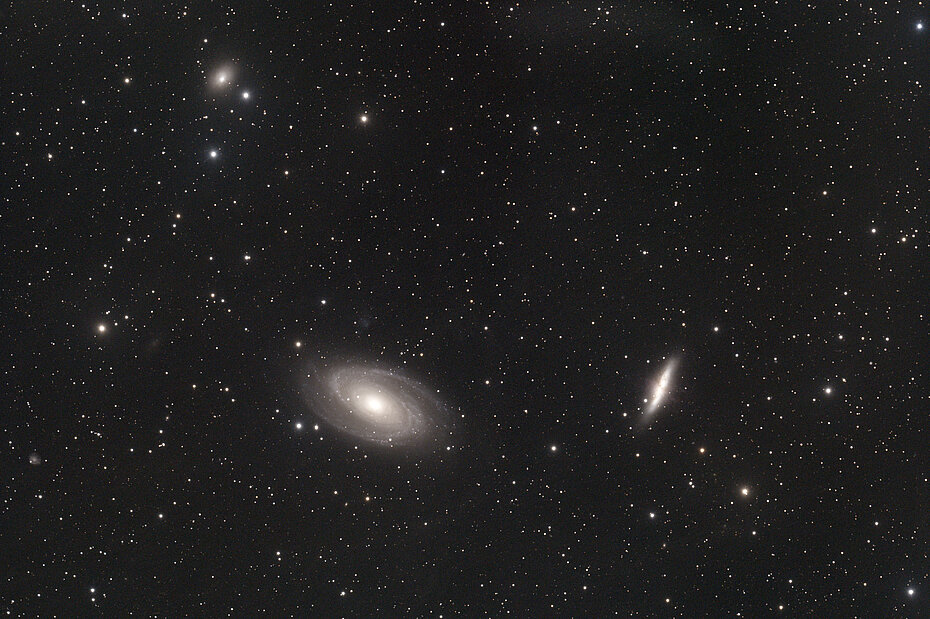 Bild von M81 am 11. Mai 2024